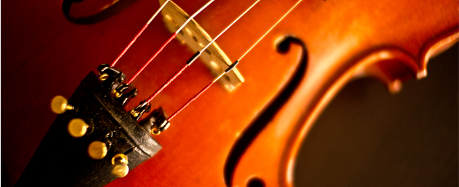 Domisol Muzical - Instrumente Coarda